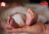 माणुसकीला काळीमा साईनाथ रुग्णालयात आढळले जन्मलेल मृत अर्भक, वाचून थक्क व्हाल 